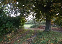 Bystævnet 4
